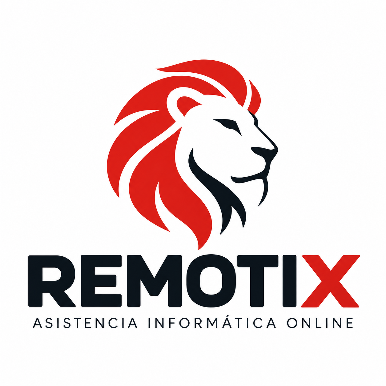 REMOTIX · Asistencia informática online